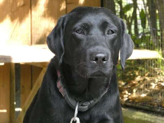 Zeigt eure Portraits-Beitrag-Bild