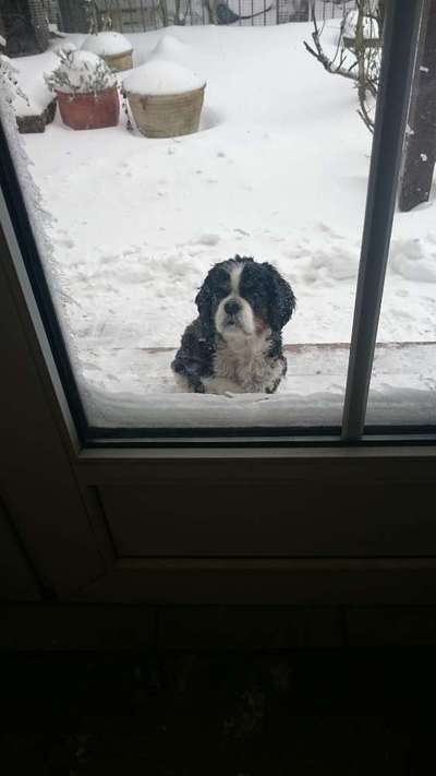 Der erste Schnee, zeigt uns eure tollen Schneemomente-Beitrag-Bild