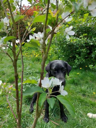 Handy-Foto-Challange Nr.9-Beitrag-Bild