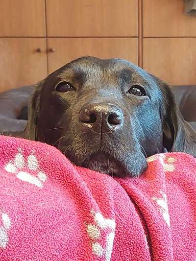 FOTO-Challenge  NR. 91: Die pure Entspannung-Beitrag-Bild