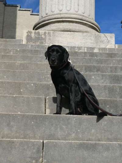 9. Collagen-Challenge 
Mein Hund und Kirchen, Ruinen, Schlösser, Burgen etc...-Beitrag-Bild