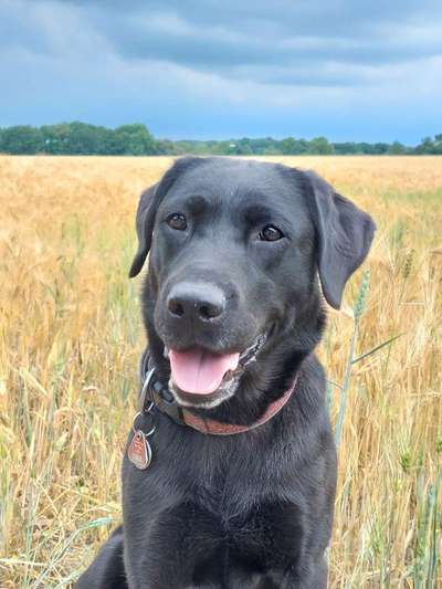 Theos  Fotochallenge Nummer 2-Beitrag-Bild