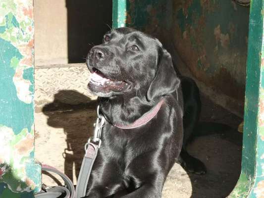 Lieblingsbild-Beitrag-Bild