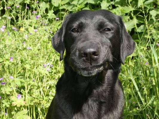 Das beste grinsefoto-Beitrag-Bild