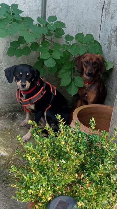 Zeigt eure Portraits-Beitrag-Bild