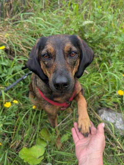 Austausch zur Fotografie-Beitrag-Bild