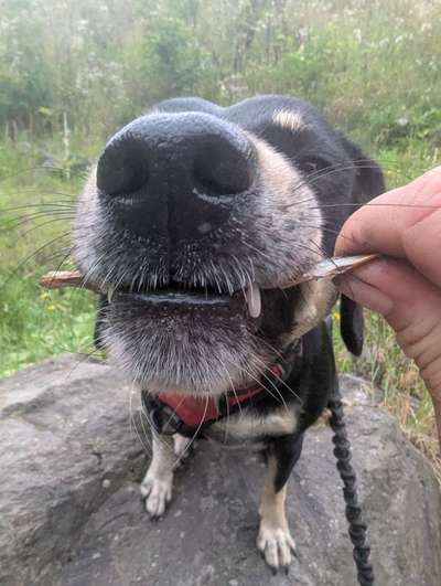 Austausch zur Fotografie-Beitrag-Bild