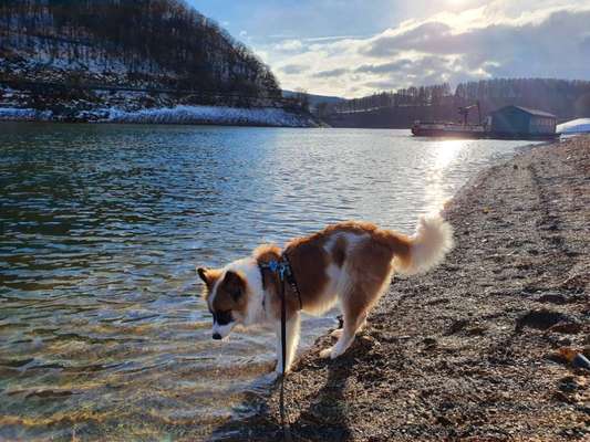 Dogorama-Monats-Challenge-Mai "Wasser"-Beitrag-Bild