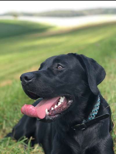 Fotochallange Nr. 57     PORTRÄT.   Beendet!!!!!!!!-Beitrag-Bild