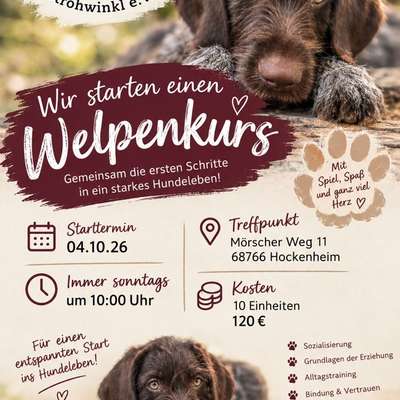 Hundetreffen-Welpenkurs in Hockenheim-Bild