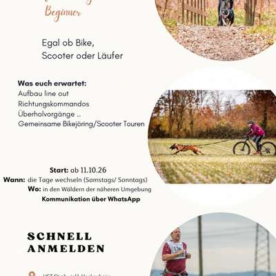 Hundetreffen-Canicross -Kurs-Bild