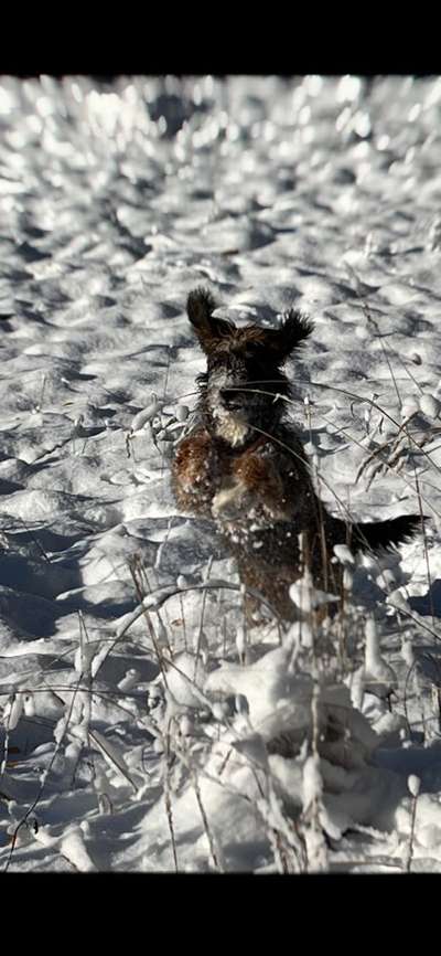 Der erste Schnee, zeigt uns eure tollen Schneemomente-Beitrag-Bild