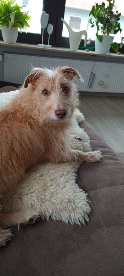 Fotochallenge Nr. 56 - geliebte Senioren-Beitrag-Bild