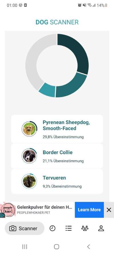 Windhunde - Treffen der besonderen Schönheiten
HERZLICH WILLKOMMEN-Beitrag-Bild