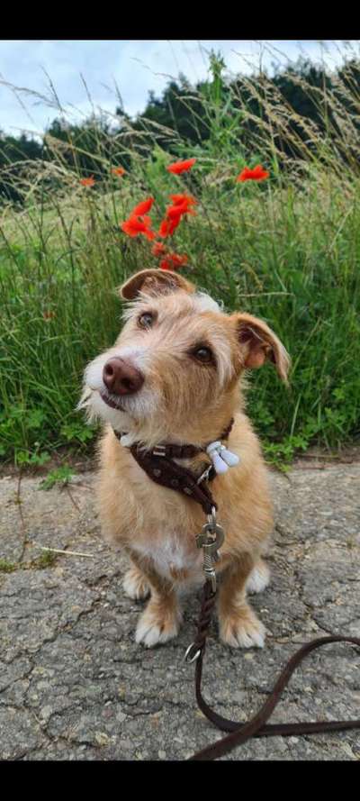 Fotochallenge 78

Es grünt und blüht-Beitrag-Bild