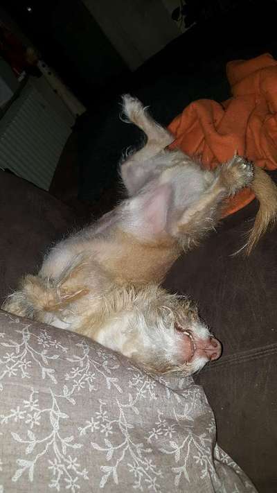 Die unbequemsten und lustigsten Schlafpositionen-Beitrag-Bild