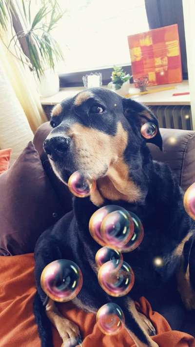 Fotochallenge Nr. 56 - geliebte Senioren-Beitrag-Bild