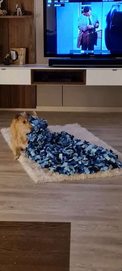 Challenge 21 - wo bin ich : )-Beitrag-Bild