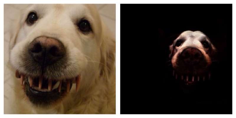 Hier ist der Spaßthread. Zum Schmunzeln und Kaputtlachen-Beitrag-Bild