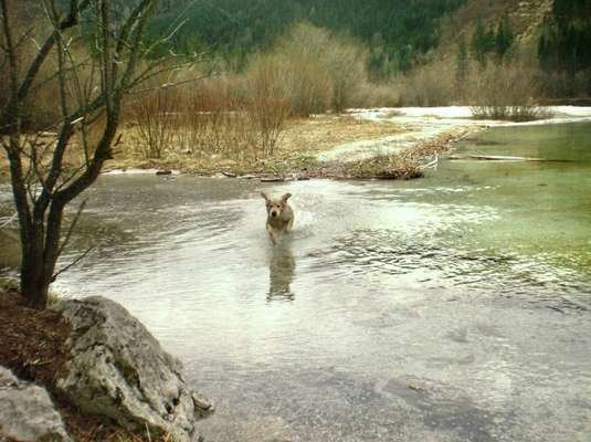 FOTOCHALLANGE NR.71 BADEFREUDE-Beitrag-Bild