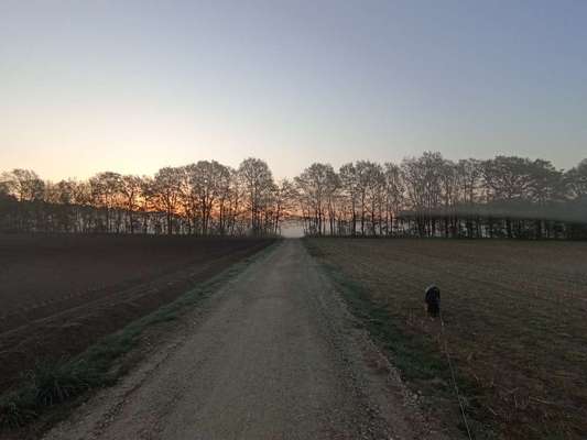 Hundeauslaufgebiet-Hemelter Bach-Bild