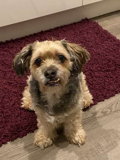 Fotochallange Nr. 57     PORTRÄT.   Beendet!!!!!!!!-Beitrag-Bild