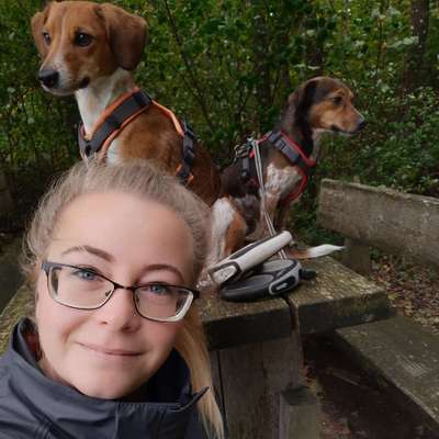 Hundetreffen-Spielen und Toben-Profilbild