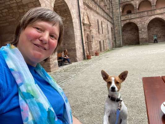 Hundetreffen-Spielkameraden gesucht-Bild