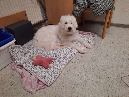 Doppelgänger gesucht !-Beitrag-Bild