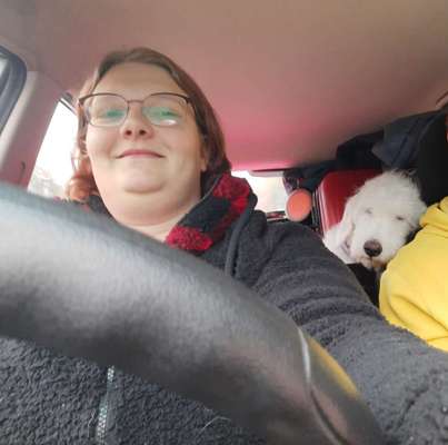 Dogorama Photo Challenge - Frühjahrsmüdigkeit-Beitrag-Bild