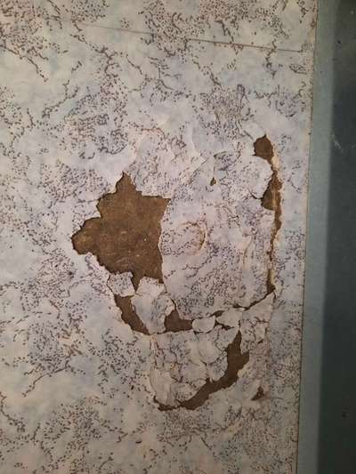 Foto Challenge Nr.135-Beitrag-Bild