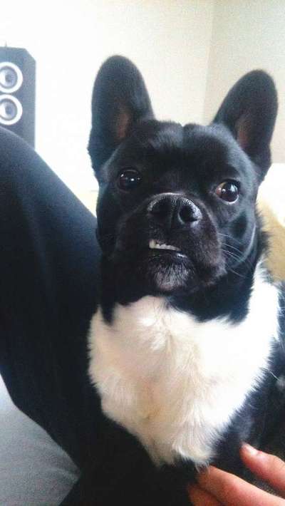 Fotochallenge Nr.122-Beitrag-Bild