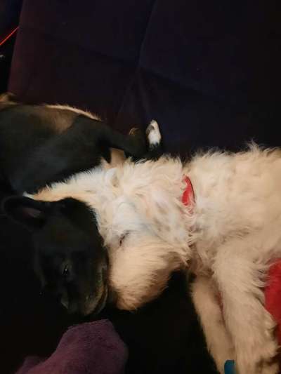 Foto Challenge Nr. 134-Beitrag-Bild