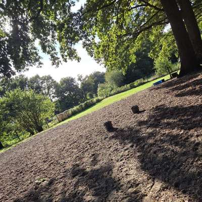 Hundetreffen-Treffen auf der Hundewiese Rheda-Bild