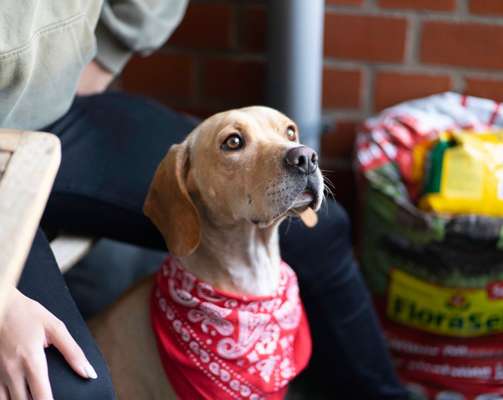 Lieblingsbild-Beitrag-Bild