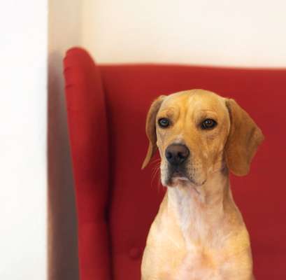 Fotochallange Nr. 57     PORTRÄT.   Beendet!!!!!!!!-Beitrag-Bild