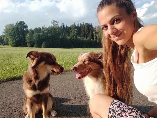 Hundetreffen-Suche Spielgefährten für Speedy und katy-Bild