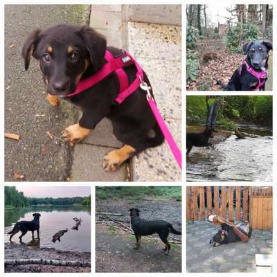 Sie werden so schnell groß!-Beitrag-Bild