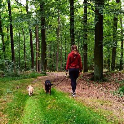 Das A-Team's Profilbild