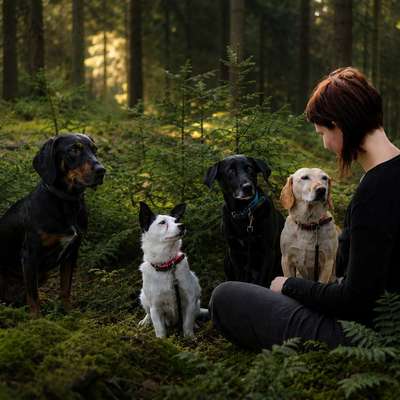 Das A-Team's Profilbild