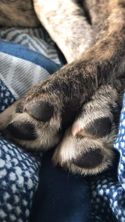 Blick fürs Detail!-Beitrag-Bild