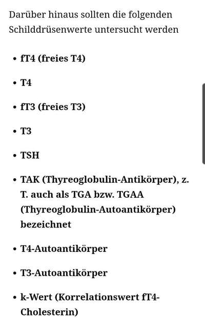 Miniatur Bull Terrier-Beitrag-Bild