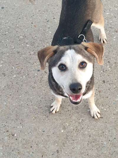 Handy-Foto Challange Nr. 10-Beitrag-Bild