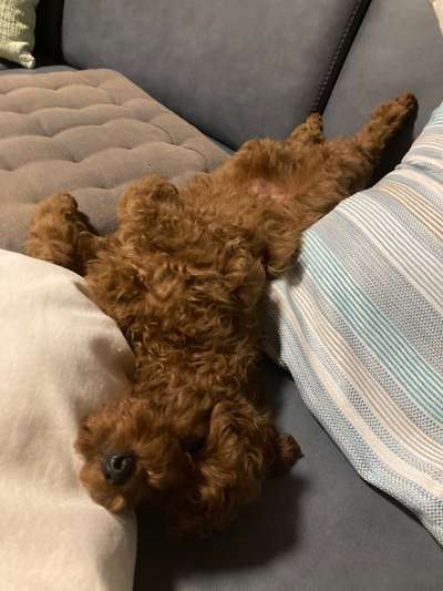 Fotochallenge Nr.65-Beitrag-Bild