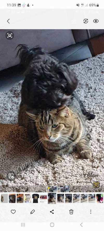 Dogorama Photo Challenge - Fail/Outtakes-Beitrag-Bild