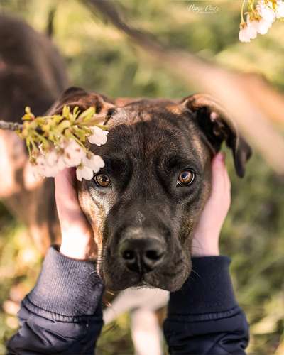 Tierfotografen-Manja Pautz Fotografie-Bild