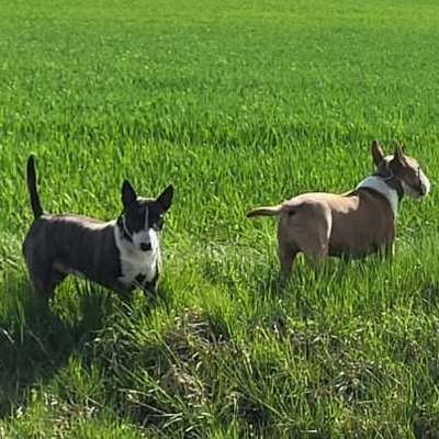 Torsten's Profilbild