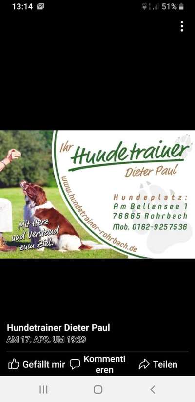 "Sozialisierung" von Dieter Paul Hundetrainer-Beitrag-Bild