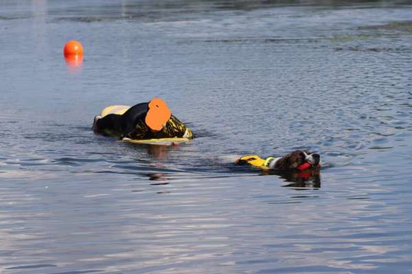 Euer "Sport"-Beitrag-Bild