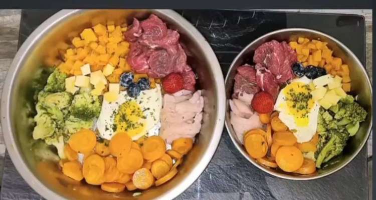 Zeigt her Eure Futternäpfe-Beitrag-Bild